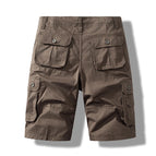 Brown  01 / 29