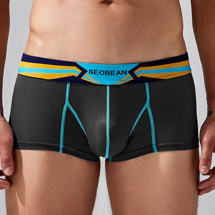 SEOBEAN Men's Sheer Boxer Briefs Nylon Low-Rise Underwear Lightweight Breathable Fashion Stylish Thin See-Through 230215 412114