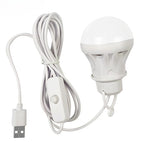 Light With Switch
