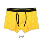 B-246 / XXL (40-42 INCH) / 1pc