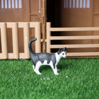 Mini Cat -31