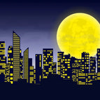 NBK19804 / Polyester 220x150cm