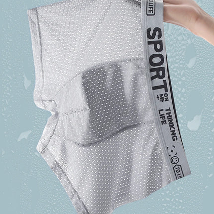 4pcs Summer Mesh Men Boxer Underwear Quick Dry Panties Man Boxer-briefs Breathable XL XXL 3XL 4XL Male Shorts Mens Undershorts
