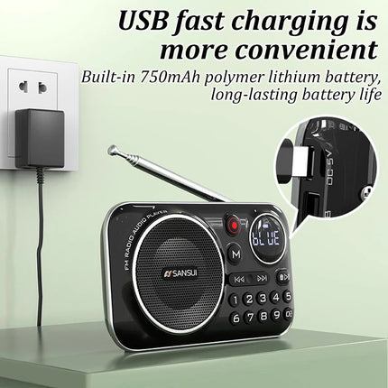 SANSUI F21 Bluetooth Speakers Mini Wireless Portable FM Radio for the Elderly Multifunctional Outdoor TF Card /USB Music Walkman