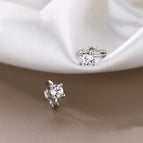31 / 2PCS