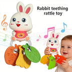 855-245A-RABBIT