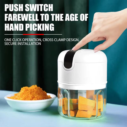 1 electric garlic puree machine, mini meat grinder, 250ML ginger chili chopper, onion grinder, kitchen food mixer