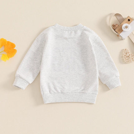 2024-05-27 Lioraitiin Girls Boys Sweatshirts Sister Brother Matching Clothes Letter Embroidery Crew Neck Long Sleeve Pullovers