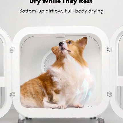 135L Ultra-Quiet Pet Dryer Box, Smart Temp Control, 360° Hands-Free Safe Drying for Dogs, Cats & Multi-Pet, Custom