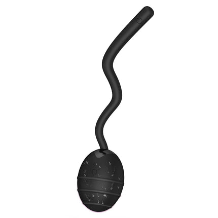 Vagina Balls Vibrator 20 Speeds Jumping Egg Prostate Massage Ass Dilator Sex Toys Anal Toys，Soft Silicone，Sex Toys for Women