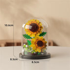 Sunflower Blocks / with-box