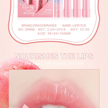 Women Lipstick Set 3pcs Moisturizing Long Lasting Non Transfer Warm Tone Lip Balm Nourishing Lip Color Collection