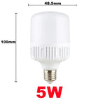 5W / White Light