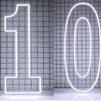 76cm(2.5FT) tall / number 10 / China Mainland