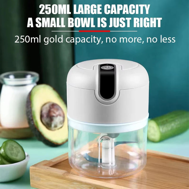 250ML electric meat grinder, garlic chopper, rotary garlic press, vegetable onion cutting machine, kitchen cooking accessories