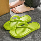 light green / 38-39