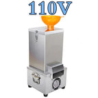 110V