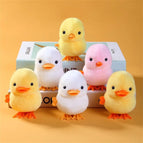 12pcs
