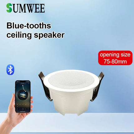 MINI Bluetooths Ceiling Speakers Stereo Sound Indoor Home Audio Background Music System For Bathroom Kitchen Living Room Bedroom