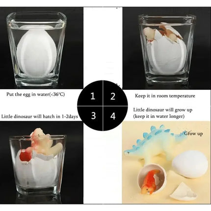 10Pcs Magical Dinosaur Eggs Hatched in Water Dinosaur Eggs Animal Reproduction Immersion Children Tyrannosaurus Fun Gifts
