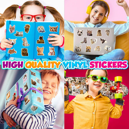 10/25/50pcs Cute Cats Meme Stickers Animal Cartoon Graffiti Decal for DIY Scrapbooking Suitcase Phone Laptop Guitar Car Kids