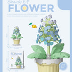 Hyacinth potted / with-box