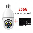 1ps Cam 256GB Card