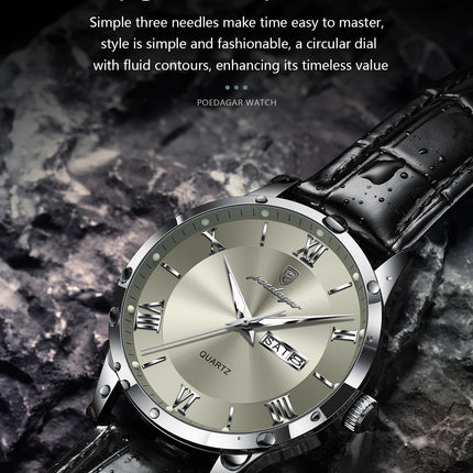 POEDAGAR Top Luxury Watch For Men Military Waterproof Luminous Date Week Man Wristwatch Leather Men's Quartz Watches Sport Reloj