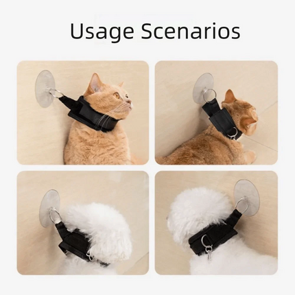 Adjustable Pet Grooming Loop Suction Cup Holder Hands-Free Dog Bathing Fixer Comfortable Portable Cat Restraint Straps Pet Shower
