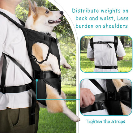 Pet Front Carrier Backpacks Adjustable Hands-Free Dog Backpack for Small Medium Dogs Breathable Cats Outdoor Travel Carrier Bags