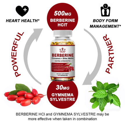 Berberine Supplement High Potency with Ceylon Cinnamon - Immune System, Cardiovascular & Gastrointestinal Function - Berberine H