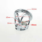 6 rings L size