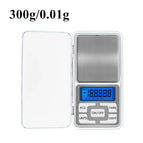 300g 0.01g