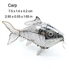 Carp