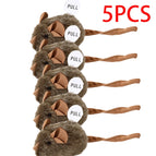 5PCS