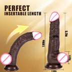 Dildo-019-1 / United States
