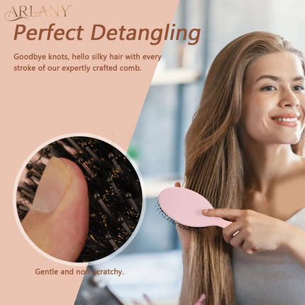 ARLANY Matte Boar Bristle Hair Brush Nylon Teeth Hair Extension Brush Set Women Cushion Brush Hair Styling Smoothing Detangling