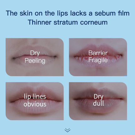 Vaseline 1/2/3/4/5/10/15pcs Moisturizing Lipstick Base Moisturizer Makeup Natural Plant Lip Care Petrolatum Jelly Lip Balms