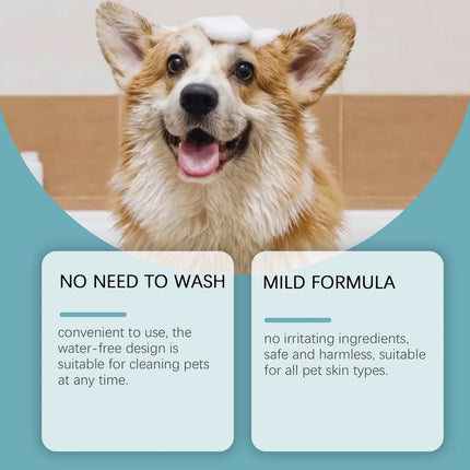 Waterless No Rinse Dry Shampoo For Cat Dog Animal Grooming Pet Cleaning Friendly Dog Dry Foaming Bath Spray Pet Supplies 150ml
