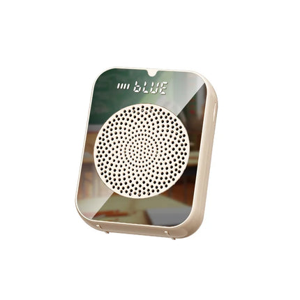 Portable wireless Bluetooth voice speaker microphone for teaching teachers, lecturers, tour guides, speakers