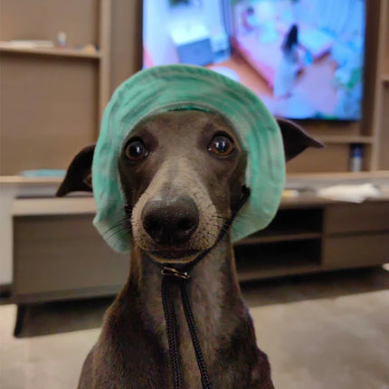 Summer Little Greyhound Sunscreen Hat Outdoor Hat Ear Holes Adjustable Cap for Whippet Breathable Cool Hat for Small Medium Dogs
