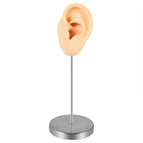 Flesh Left Ear / 1 set With Stand
