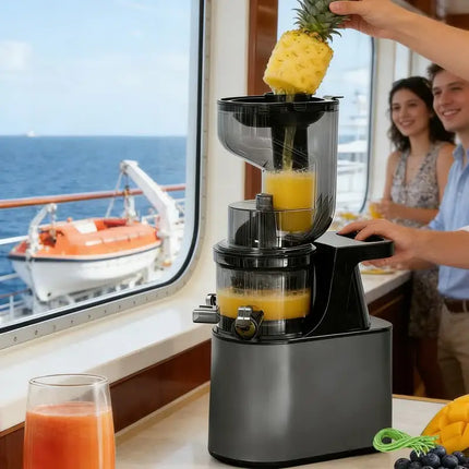 Suitable for commercial and domestic use, wear-resistant automatic juicers, heavy-duty slow juicers, commercial juicers