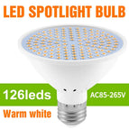 Warm White 126leds