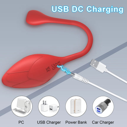 Wireless Bluetooth APP Vibrator Sex Toys for Women Remote Control Egg Clitoris Stimulator G Spot Massager Adults Female Panties