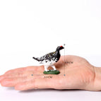 ptarmigan