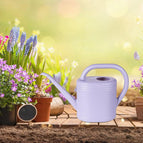 violet 2L