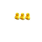 3pcs ducklings