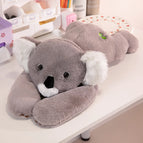 koala-60cm-0.68kg
