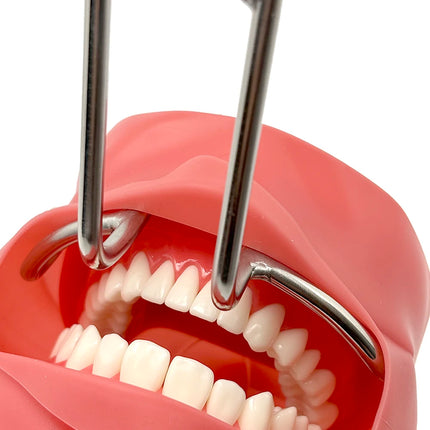 Dental Double-headed retractor Dental Stainless steel Mouth Expand Lip Retractor Intraoral Cheek Upper Lower Lip